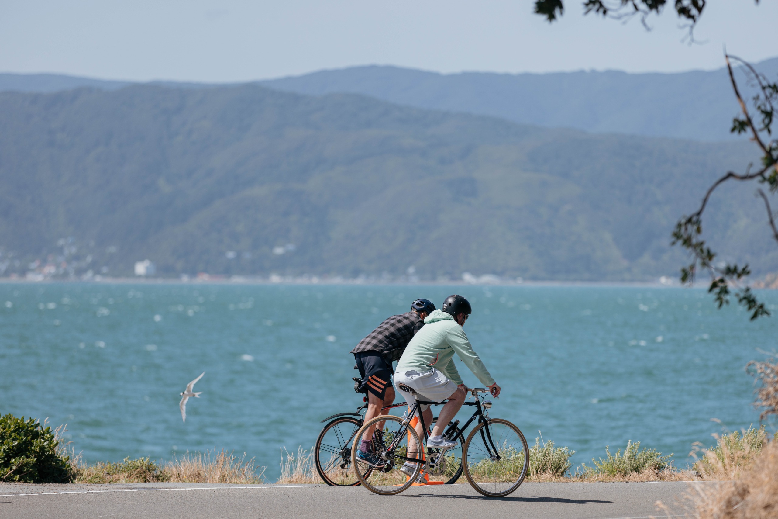 Two people on bikes near ocean